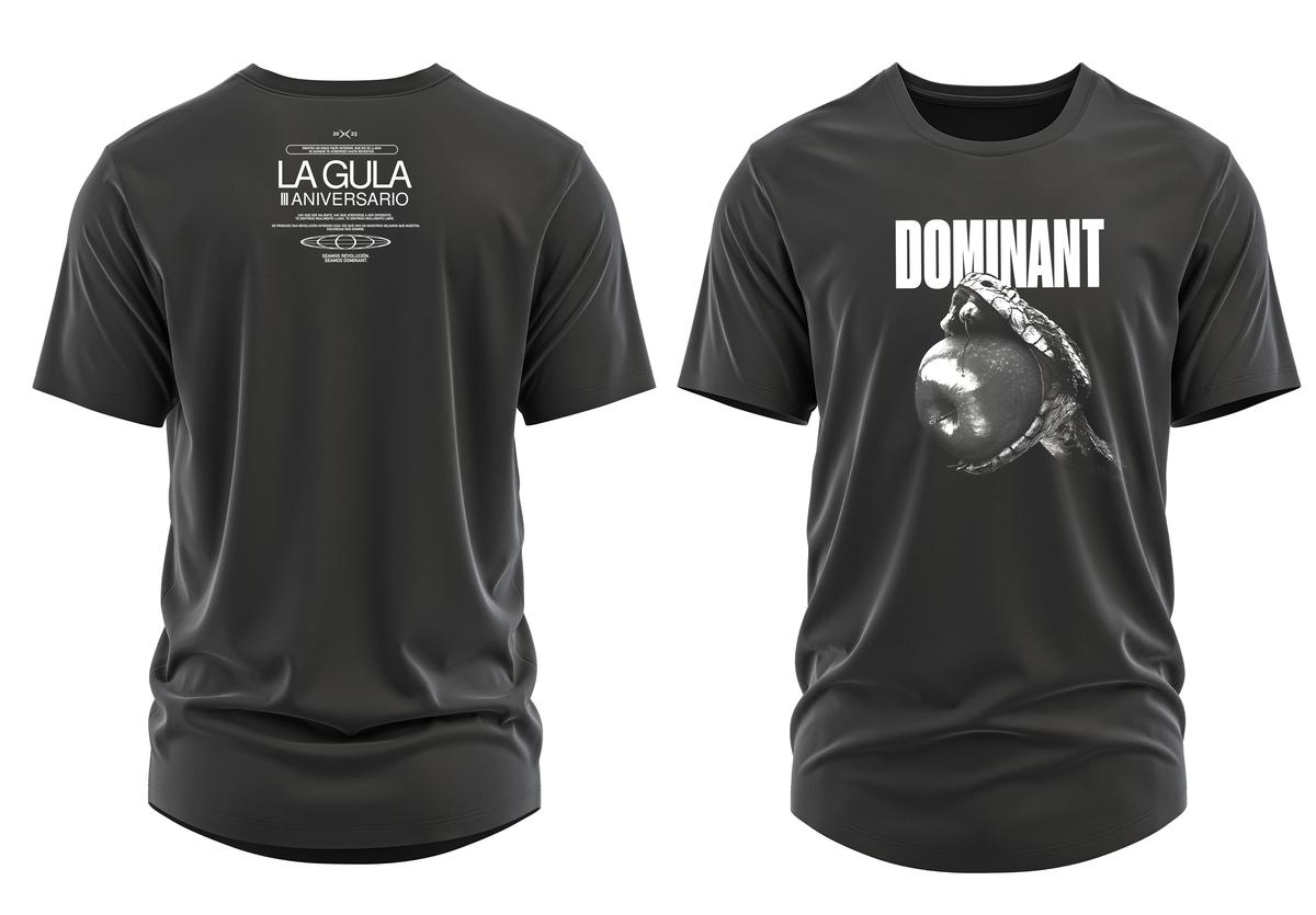 Shirt, front and back