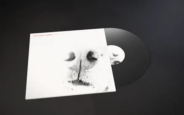 Psicología Inversa, Record sleeves